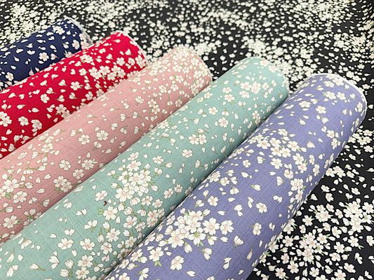 サザンクロスプリント「桜吹雪」