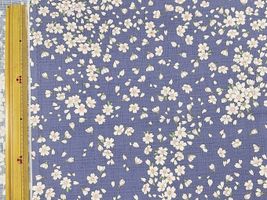 サザンクロスプリント「桜吹雪」_拡大イメージ