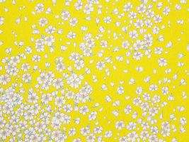 【現品限り特価】京都生まれの桜吹雪ちりめんプリントイエロー